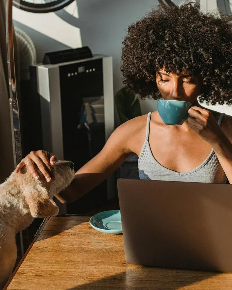 Woman drinking from a blue mug with a dog on her lap and a laptop in front of her.